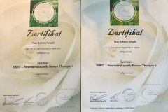 Zertifikat_NSBT