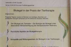 fortbildung-blutegel