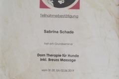 teilnahme_dorn-therapie