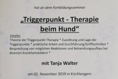 teilnahme_triggerpunkt-therapie