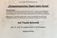 teilnahmebestaetigung_kinesiologisches-tapen-hund