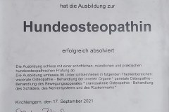 zertifikat-hundeosteopahie