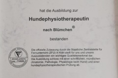 zertifikat_hundephysiotherpeutin