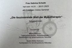 zertifikat_mykotherapie-scaled