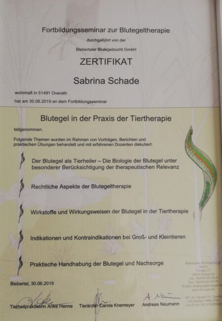 fortbildung-blutegel
