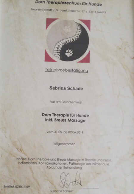 teilnahme_dorn-therapie