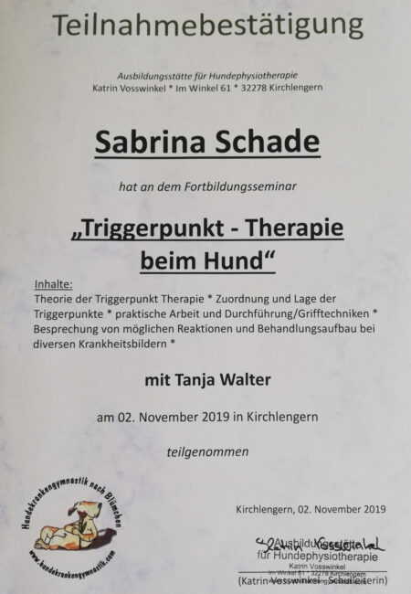 teilnahme_triggerpunkt-therapie