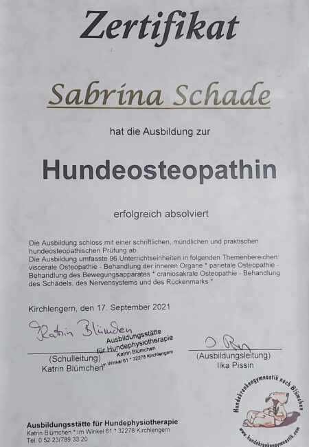 zertifikat-hundeosteopahie
