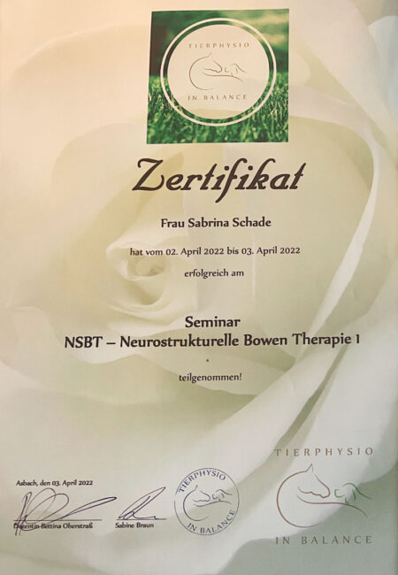 Zertifikat_NSBT_Teil 1