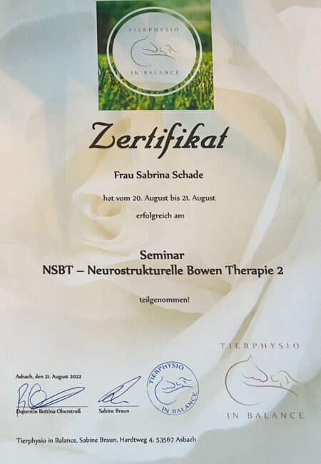 Zertifikat_NSBT_Teil-2