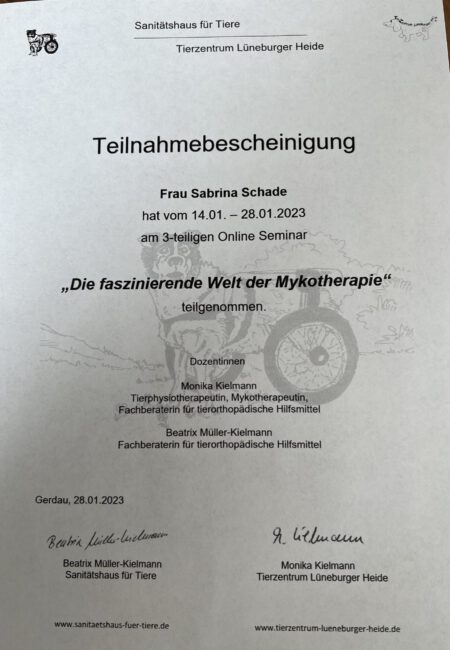 zertifikat_mykotherapie