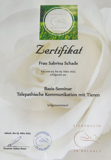zertifikat_telepathische-kommunikation