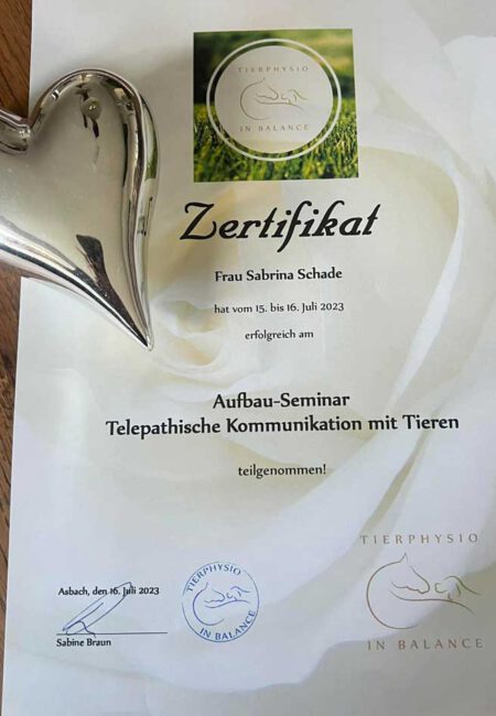 aufbauseminar_telepathische-kommuniaktion