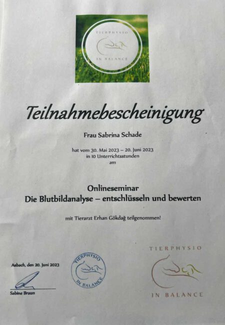 teilnahmebestaetigung_blutbildanalyse