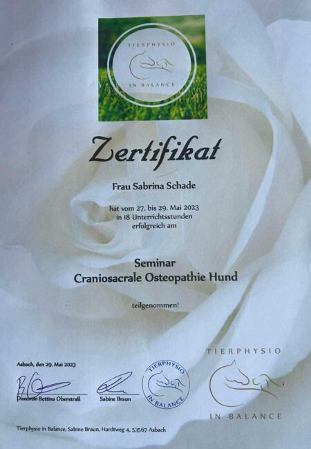 zertifikat_craniosacrale-osteopathie