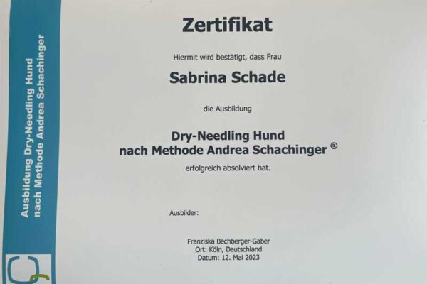 zertifikat_dry-needling